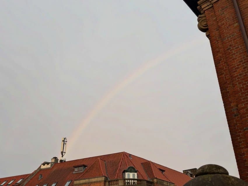 1787536483 (8).jpg