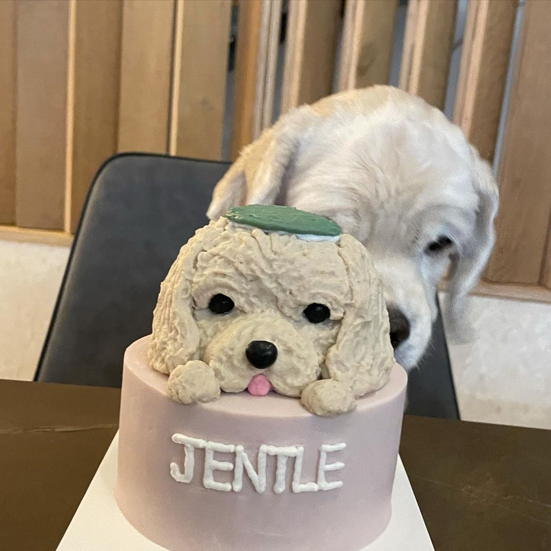 jennierubyjane_1632115216_2666698173196977039_7140177628.jpg