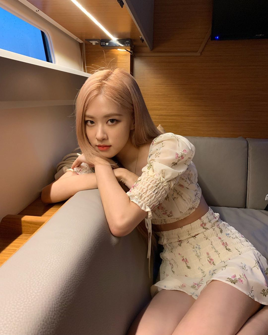 roses_are_rosie_1_B31w-e0BzJ1_.jpg