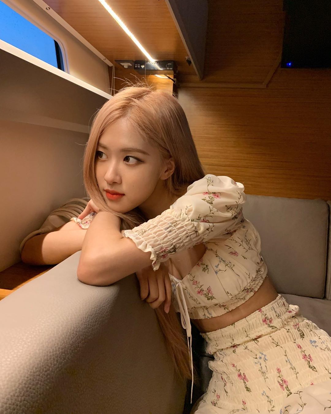 roses_are_rosie_2_B31w-e0BzJ1_.jpg