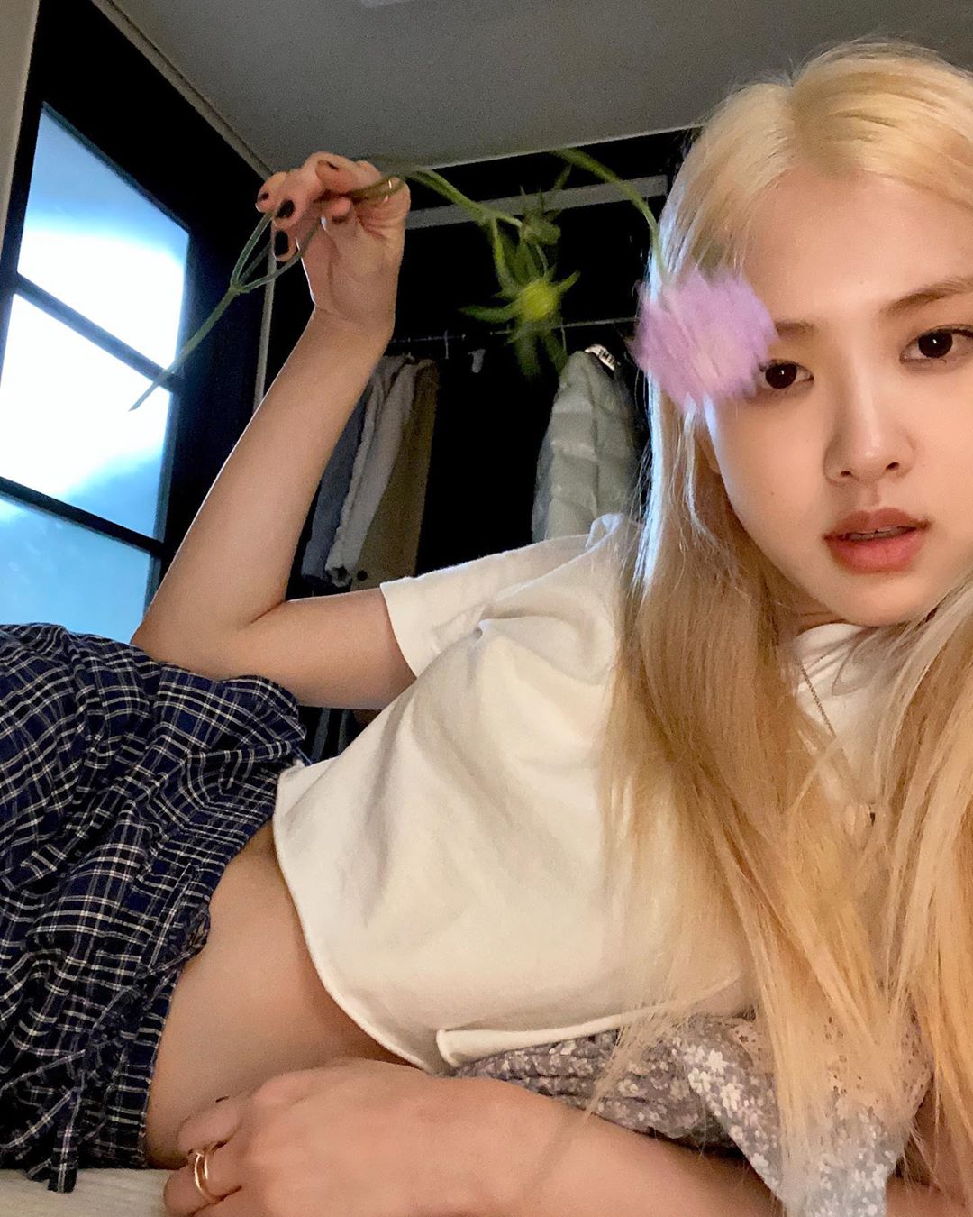 roses_are_rosie_1592152282_2331464782571694227_8004108750.jpg