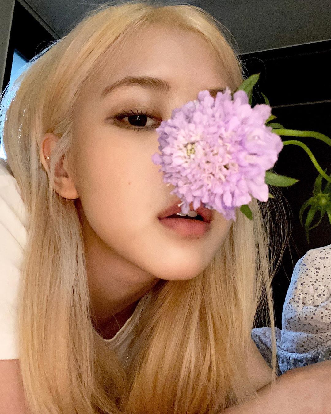 roses_are_rosie_1592152282_2331464782555049201_8004108750.jpg