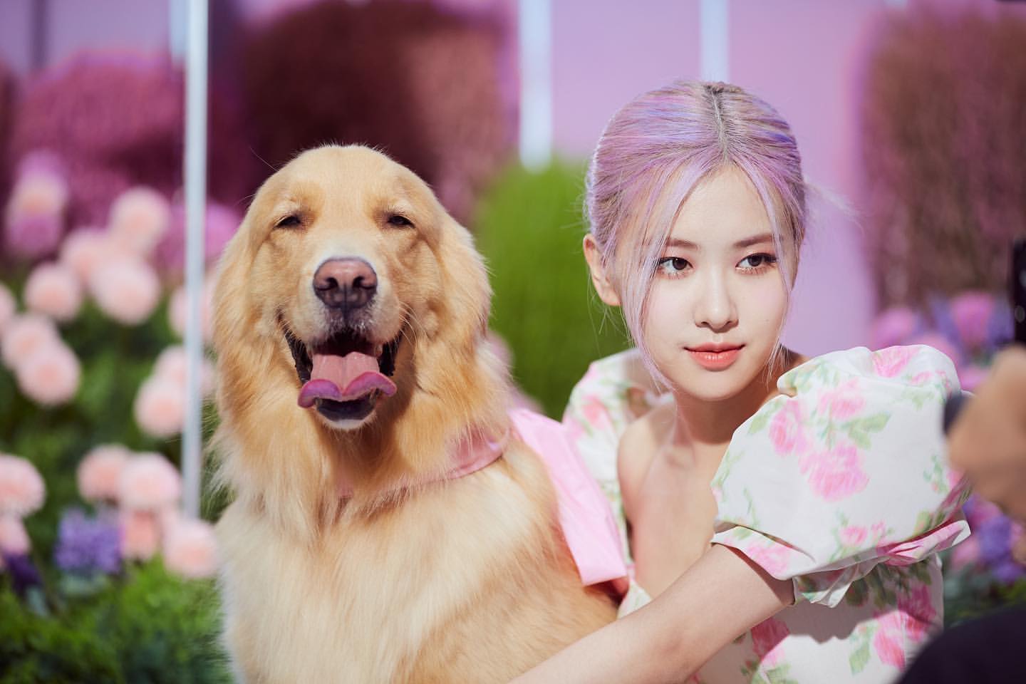 roses_are_rosie_20200831_192036.jpg