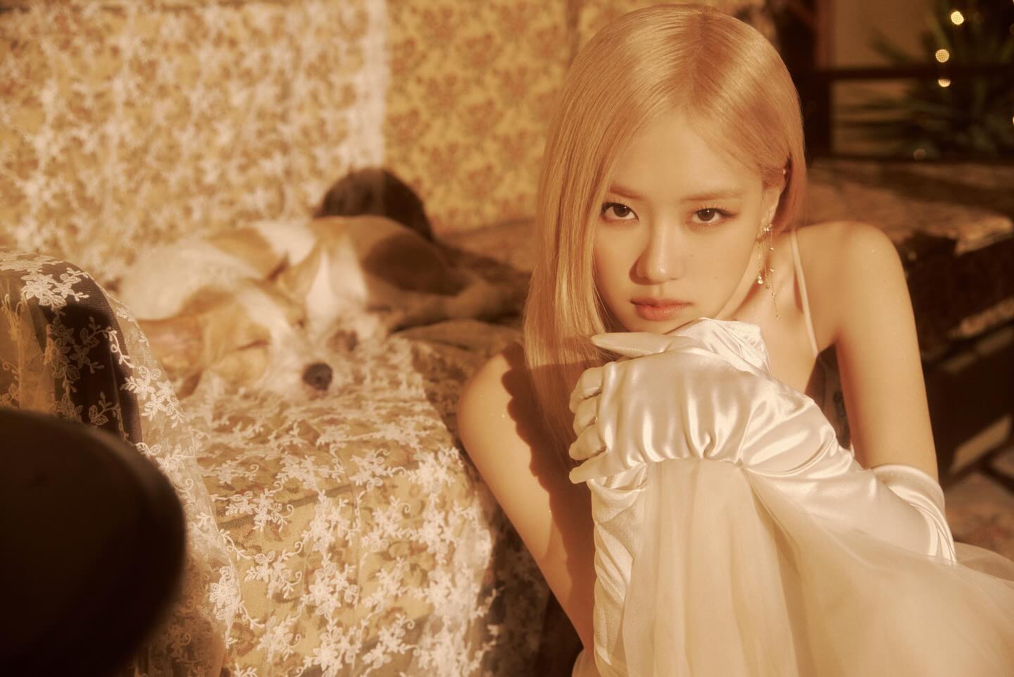 roses_are_rosie_1703421778979.jpg