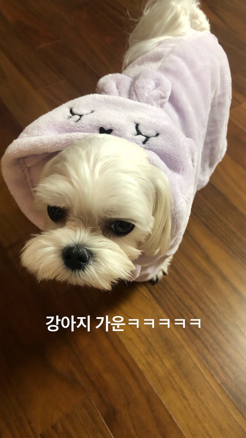 달곰이17.jpg