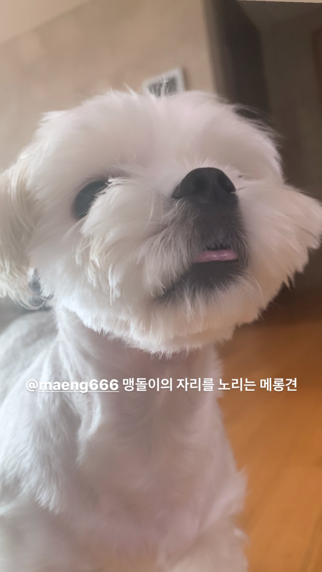 달곰이46.jpg