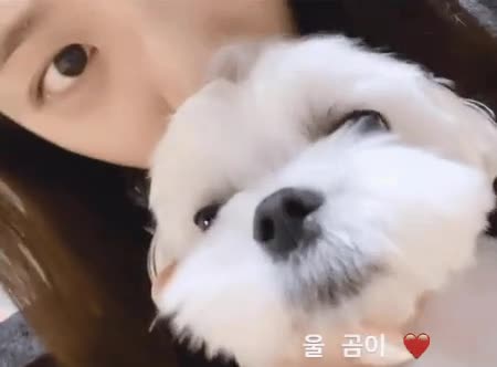 달곰이.gif